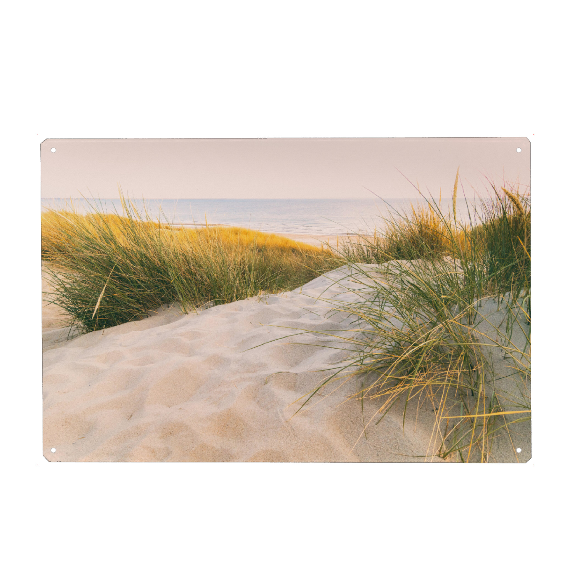 Metall Poster "Auf der Düne" artboxONE - Natur,Reise / Strand und Meer