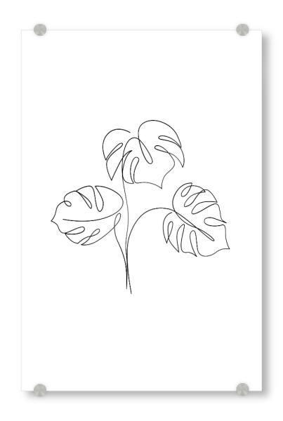 Acrylglasbild "Line Art Monstera" artboxONE - Natur,Floral