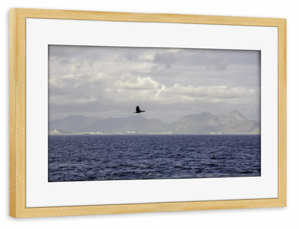 Poster mit Rahmen kiefer "Rio vibes fly high" artboxONE - Natur,Reise,Städte / Rio de Janeiro