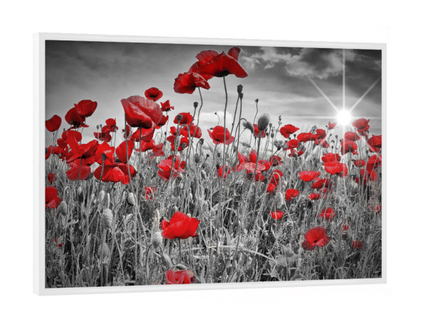 Poster mit weißem Rahmen "Idyllisches rotes Mohnblumenfeld" artboxONE - Natur,Floral
