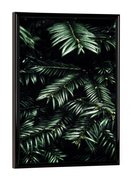 Poster mit schwarzem Rahmen "Black Forest love" artboxONE - Natur