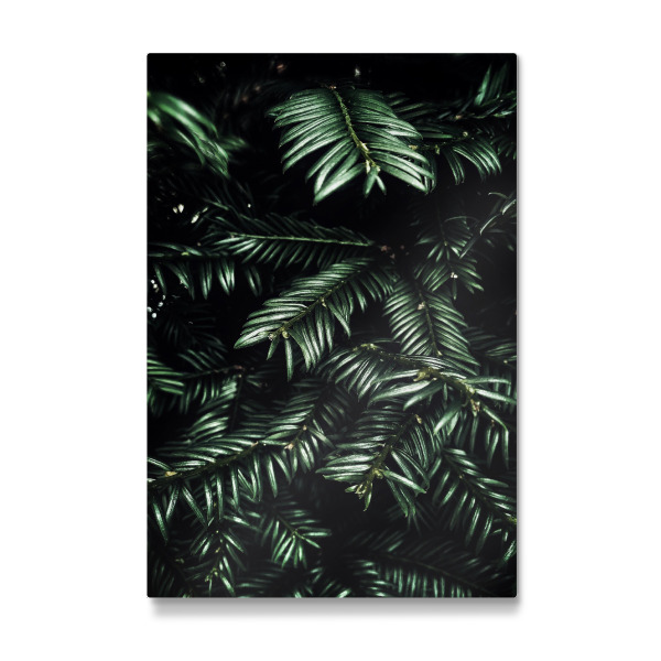 Galerie-Print "Black Forest love" 30x20 cm artboxONE