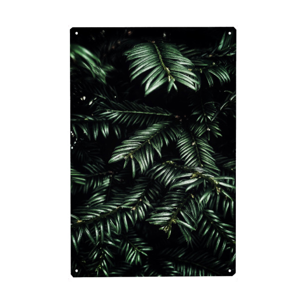 Holzbild "Black Forest love" artboxONE - Natur