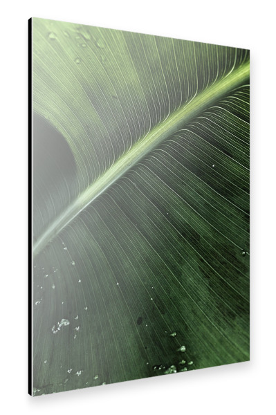 Alu-Dibond "Natur love" 30x20 cm artboxONE