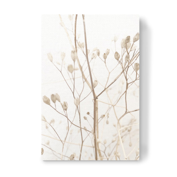 Leinwandbild "So dream soft" artboxONE - Natur - Beige,Soft,Softly,Scandi,Scandinavian,Ast,Blume,Flower,Winter,Snow,Summer,Boho