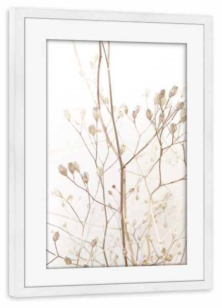 Poster mit Rahmen weiß "So dream soft" artboxONE - Natur - Beige,Soft,Softly,Scandi,Scandinavian,Ast,Blume,Flower,Winter,Snow,Summer,Boho
