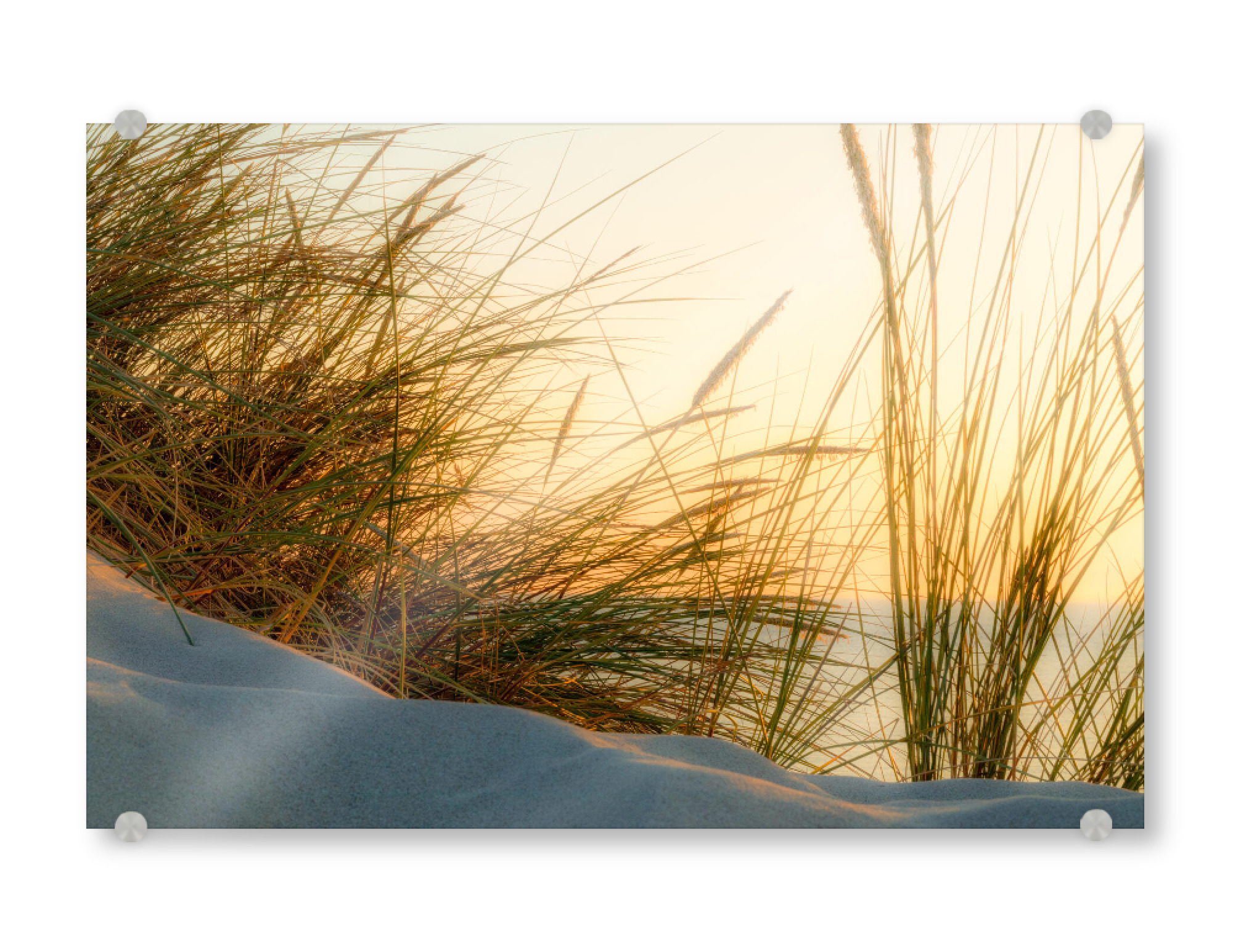 Acrylglasbild "Hidden Place" artboxONE - Natur,Floral,Reise / Strand und Meer