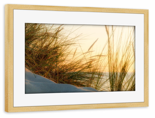 Poster mit Rahmen kiefer "Hidden Place" artboxONE - Natur,Floral,Reise / Strand und Meer