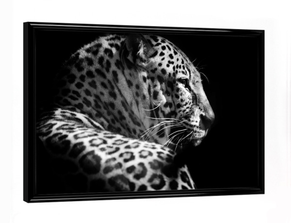 Poster mit schwarzem Rahmen "Leopard b/w" artboxONE - Tiere,Schwarzweiß,Reise / Afrika