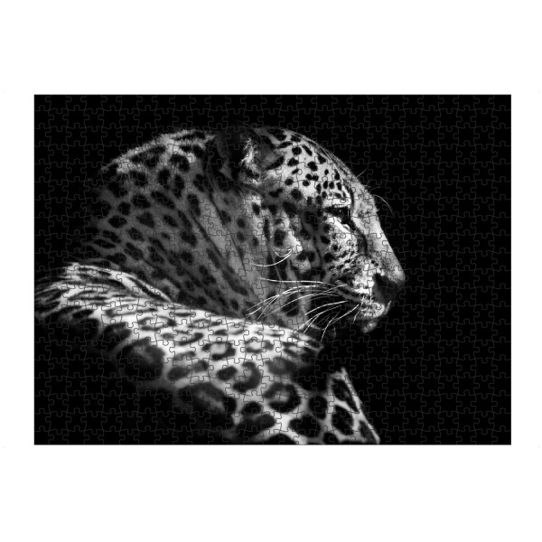 Puzzle Ravensburger "Leopard b/w" artboxONE - Tiere,Schwarzweiß,Reise / Afrika