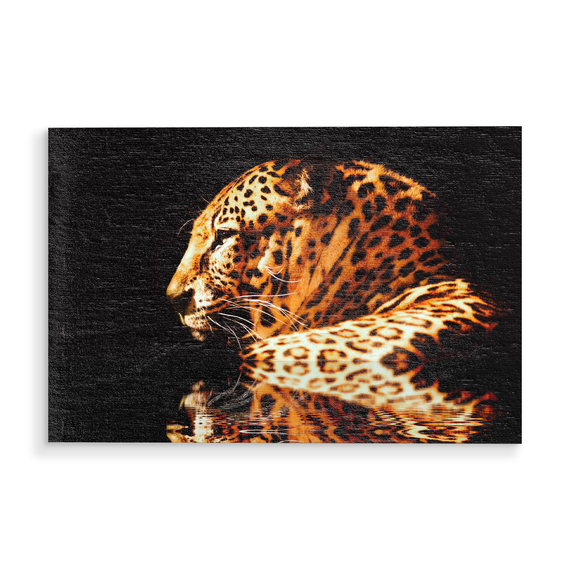 Holzbild "Leopard Reflektion" artboxONE - Tiere,Reise / Afrika - Leopard,Reflektion,Wasser,Nacht,Cat,Wild,Afrika,Katze,Großkatze,Raubkatze,Tier,Animal
