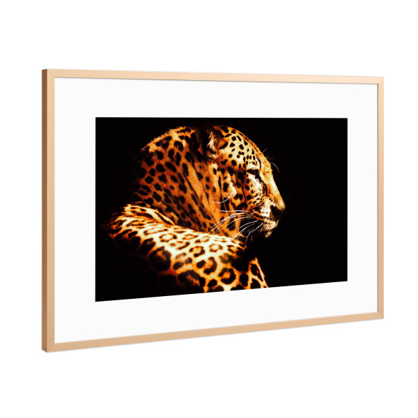 Poster mit Rahmen Kupfer "Leopard in der Dunkelheit" artboxONE - Natur,Tiere,Reise / Afrika