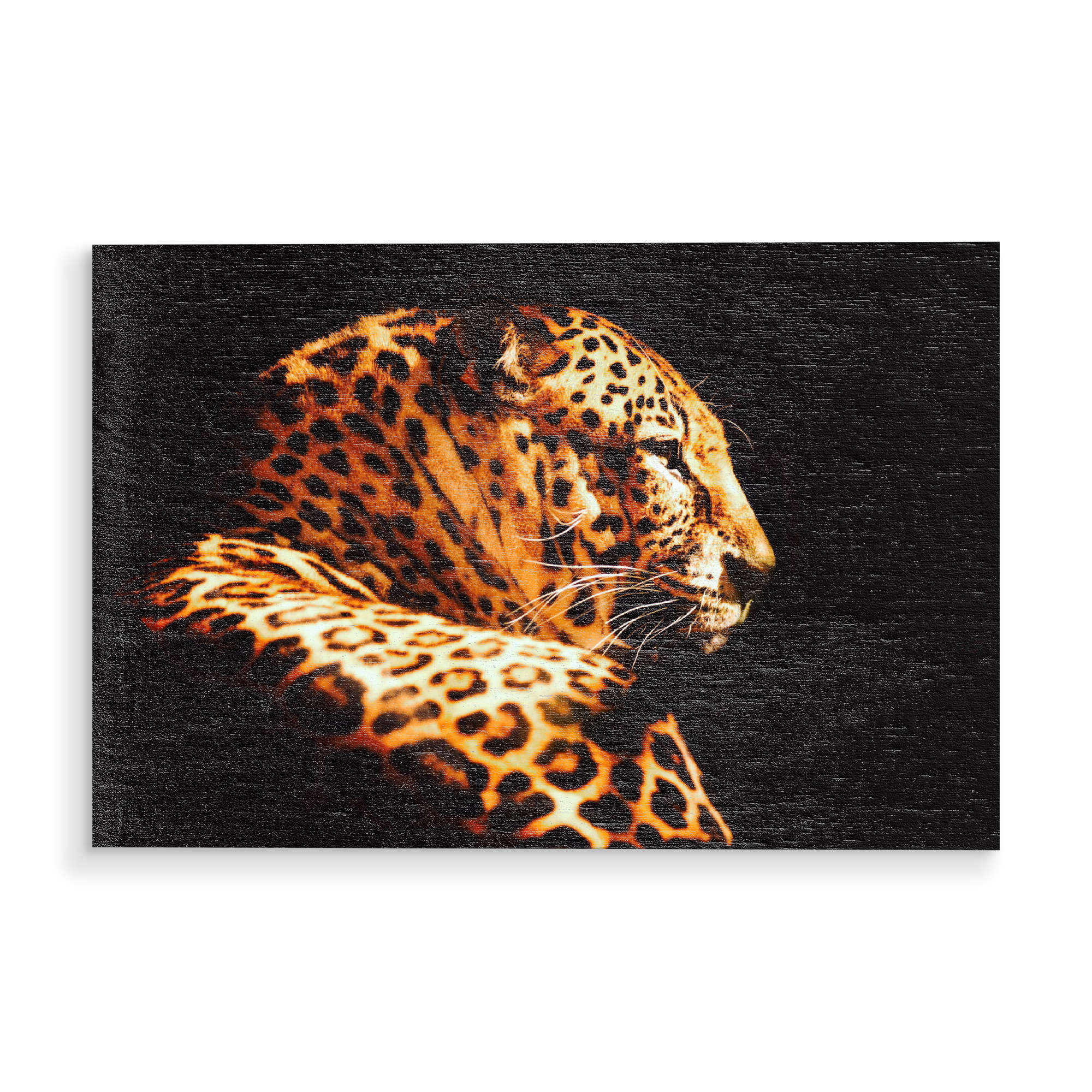 Holzbild "Leopard in der Dunkelheit" artboxONE - Natur,Tiere,Reise / Afrika - Leopard,Nacht,Katze,Großkatze,Raubkatze,Afrika,Portrait,Tier,Animal,Cat