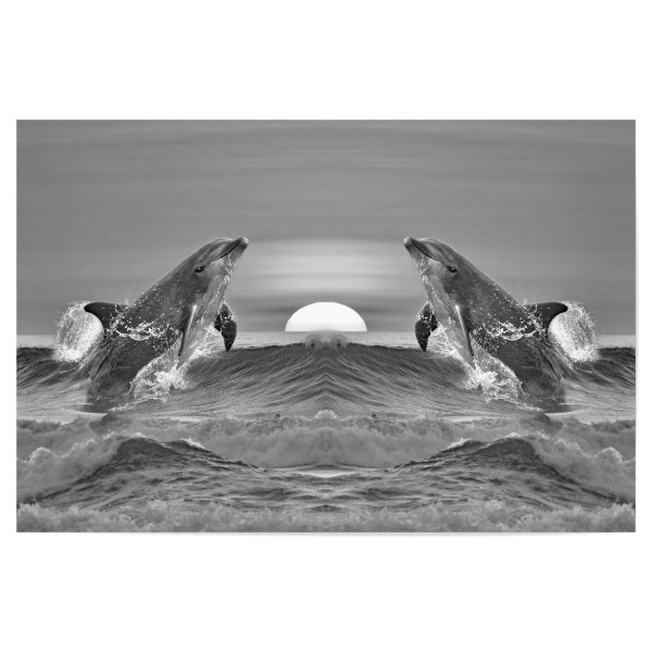 Poster "Fröhliche Delfine im Meer B+W" artboxONE - Tiere,Schwarzweiß,Reise / Strand und Meer,Unterwasser