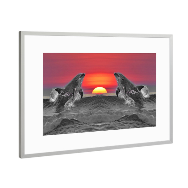 Poster mit Rahmen Silber "Fröhliche Delfine Sonnenuntergang" artboxONE - Tiere,Reise / Strand und Meer,Unterwasser