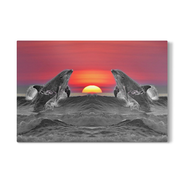 Galerie-Print "Fröhliche Delfine Sonnenuntergang" 30x20 cm artboxONE