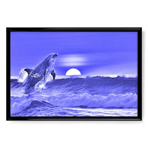 Delfin im Meer blau