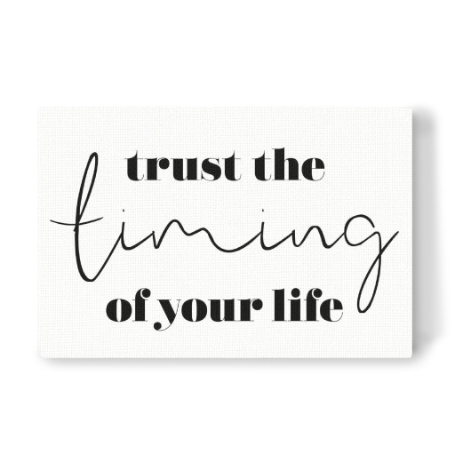 Trust the timing of your life