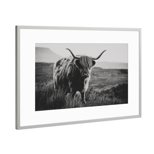 Poster mit Rahmen Silber "Highland Rind B/W" artboxONE - Natur,Tiere,Schwarzweiß