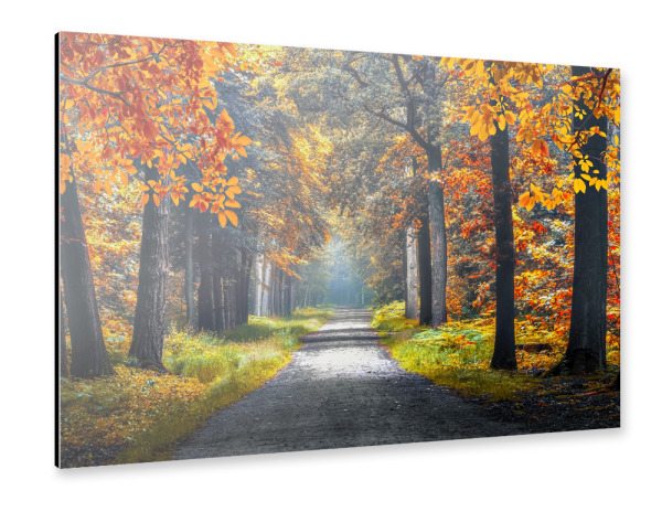 Alu-Dibond "Autumn in Holland" 30x20 cm artboxONE