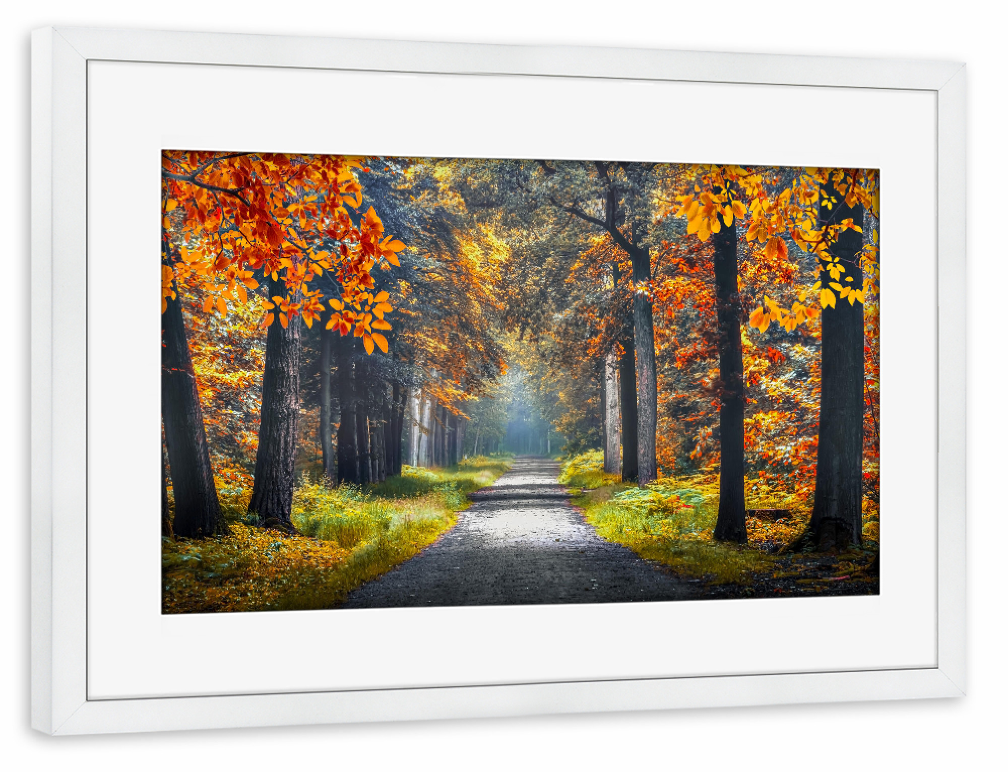 Poster mit Rahmen weiß "Autumn in Holland" artboxONE - Natur,Reise,Reise / Länder