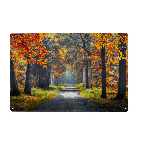 Metall Poster "Autumn in Holland" artboxONE - Natur,Reise,Reise / Länder