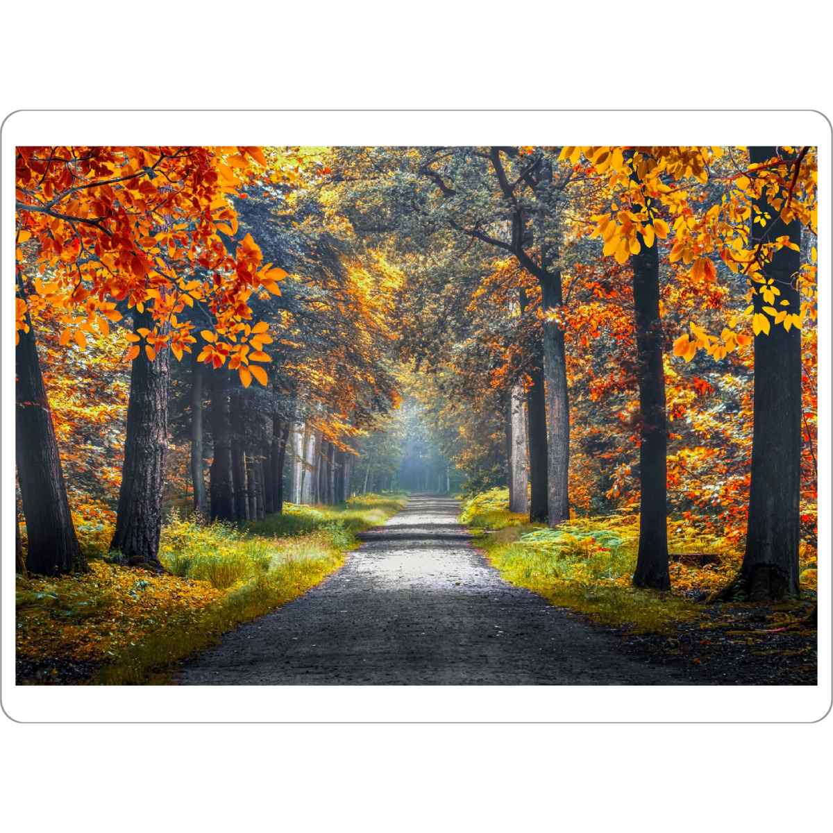 Tischset "Autumn in Holland" artboxONE - Natur,Reise,Reise / Länder