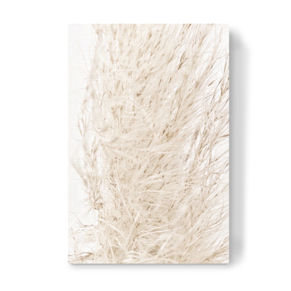 Leinwandbild "So dreamy soft" artboxONE - Natur - Beige,Natur,White,Pampas grass,Pampasgras,Pampas,Boho,Softly,Plant,Leaf,Palm,Bohemian