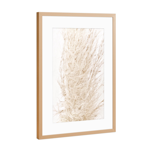 Poster mit Rahmen Kupfer "So dreamy soft" artboxONE - Natur - Beige,Natur,White,Pampas grass,Pampasgras,Pampas,Boho,Softly,Plant,Leaf,Palm,Bohemian