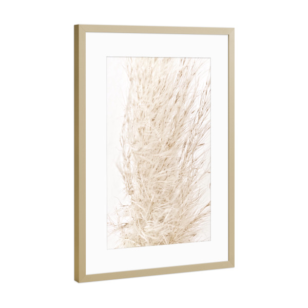 Poster mit Rahmen Gold "So dreamy soft" artboxONE - Natur - Beige,Natur,White,Pampas grass,Pampasgras,Pampas,Boho,Softly,Plant,Leaf,Palm,Bohemian