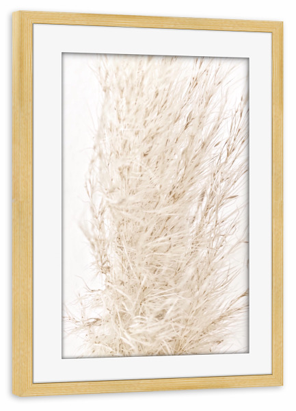 Poster mit Rahmen kiefer "So dreamy soft" artboxONE - Natur - Beige,Natur,White,Pampas grass,Pampasgras,Pampas,Boho,Softly,Plant,Leaf,Palm,Bohemian