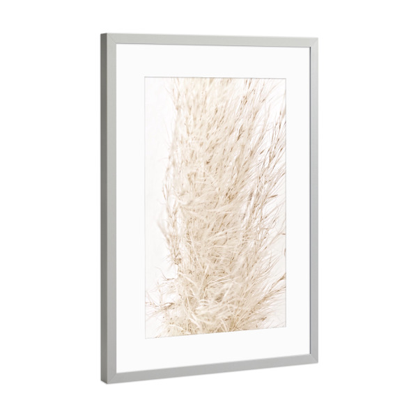 Poster mit Rahmen Silber "So dreamy soft" artboxONE - Natur - Beige,Natur,White,Pampas grass,Pampasgras,Pampas,Boho,Softly,Plant,Leaf,Palm,Bohemian