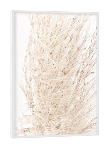 Poster mit weißem Rahmen "So dreamy soft" artboxONE - Natur - Beige,Natur,White,Pampas grass,Pampasgras,Pampas,Boho,Softly,Plant,Leaf,Palm,Bohemian