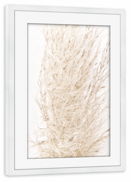 Poster mit Rahmen weiß "So dreamy soft" artboxONE - Natur - Beige,Natur,White,Pampas grass,Pampasgras,Pampas,Boho,Softly,Plant,Leaf,Palm,Bohemian
