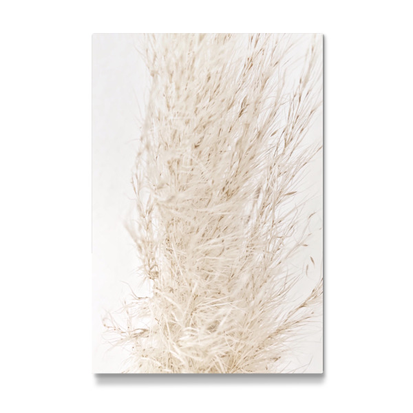 Galerie-Print "So dreamy soft" 30x20 cm artboxONE