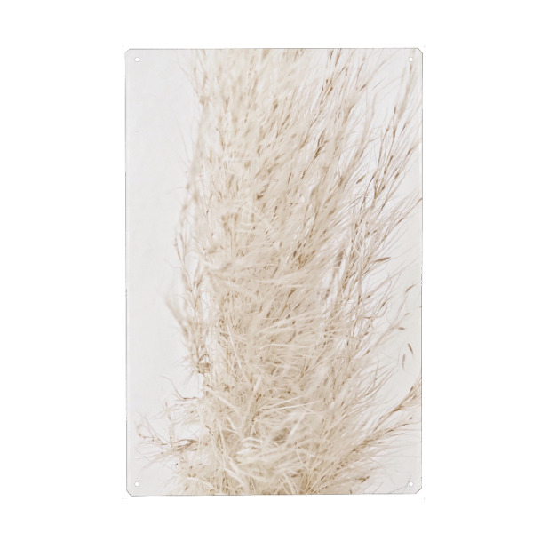 Metall Poster "So dreamy soft" artboxONE - Natur - Beige,Natur,White,Pampas grass,Pampasgras,Pampas,Boho,Softly,Plant,Leaf,Palm,Bohemian