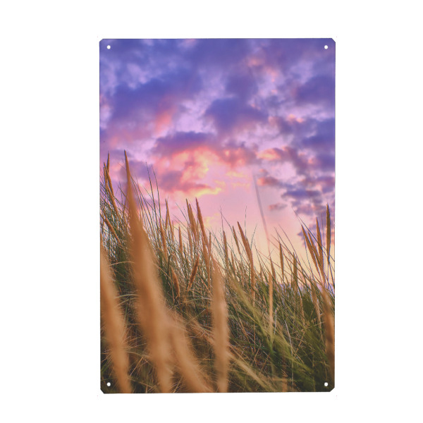 Holzbild "Küstenfarben" artboxONE - Natur - Nordsee,Küste,Düne,Natur,Landschaft,Nature,Coast,Northsea,Pflanzen,Strandgras,Pampas,Gras,Sky,Himmel