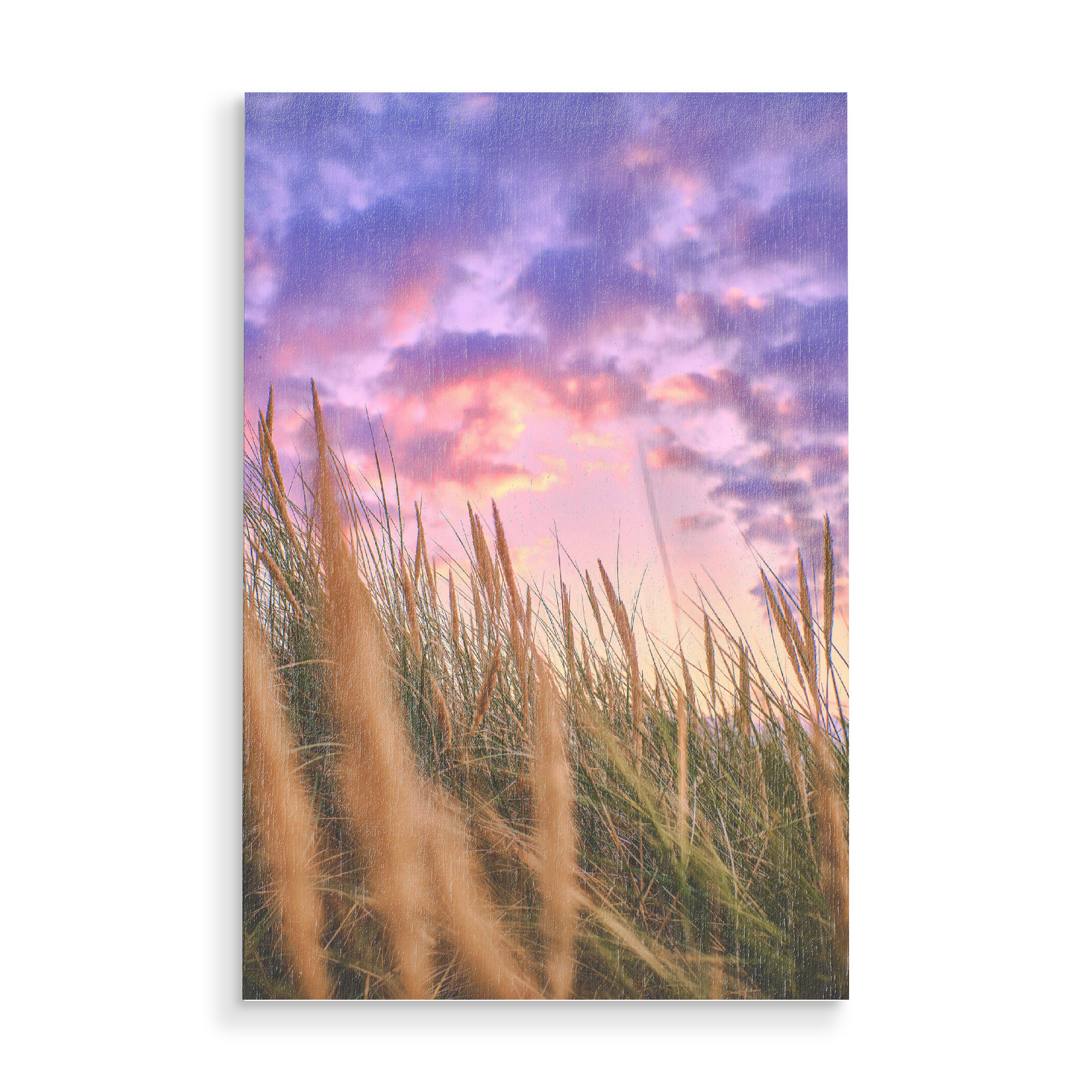 Holzbild "Küstenfarben" artboxONE - Natur - Nordsee,Küste,Düne,Natur,Landschaft,Nature,Coast,Northsea,Pflanzen,Strandgras,Pampas,Gras,Sky,Himmel