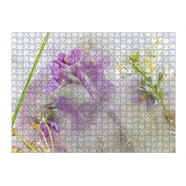 Puzzle Ravensburger "Wildblumen in Eis" artboxONE - Natur,Floral