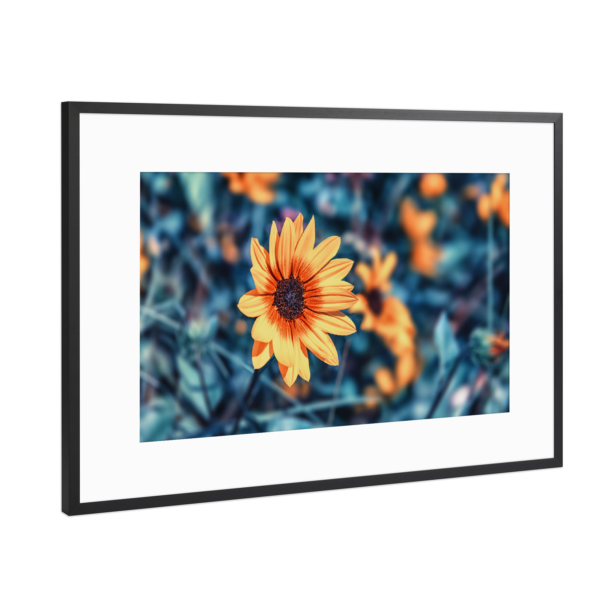Poster mit Rahmen Schwarz (Metallic) "Flower Bed" artboxONE - Natur,Reise,Floral,Liebe,Für Mama