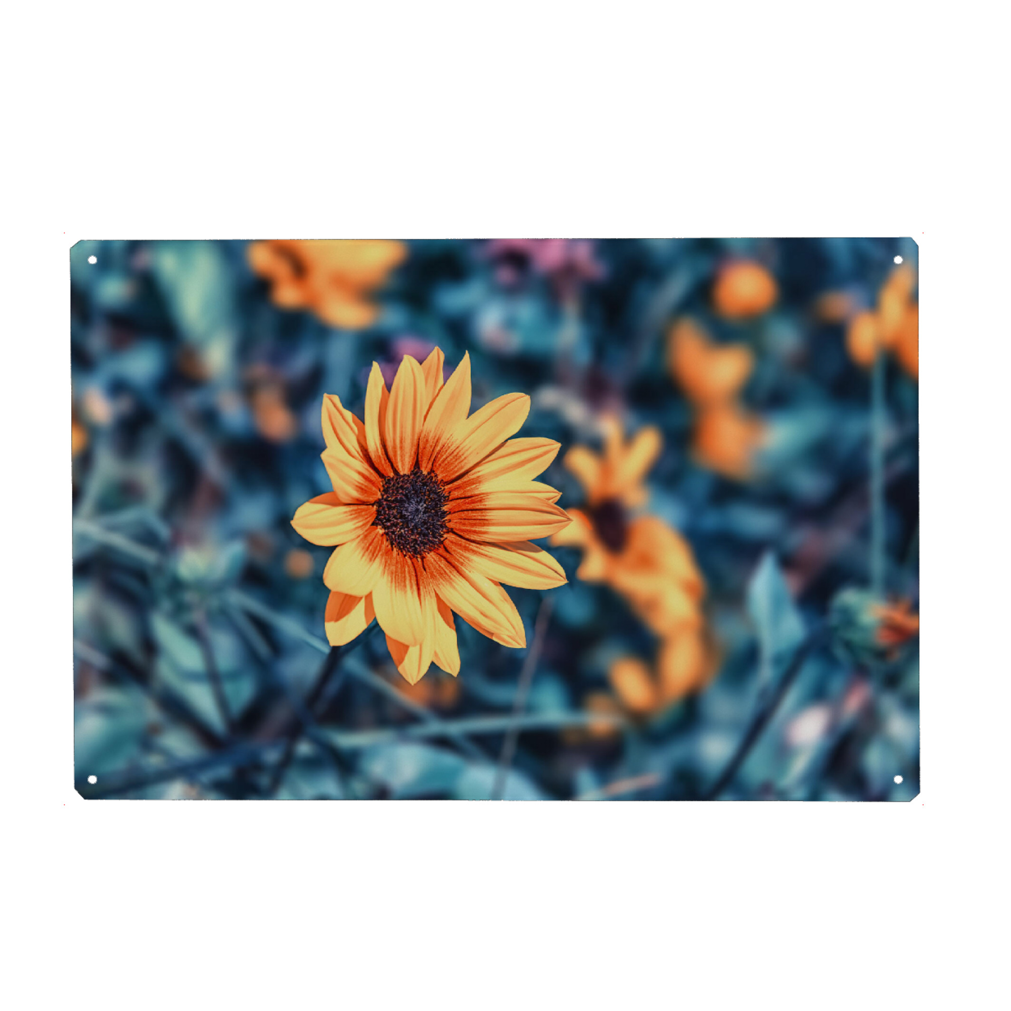 Metall Poster "Flower Bed" artboxONE - Natur,Reise,Floral,Liebe,Für Mama