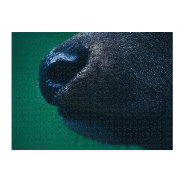 artboxONE Puzzle "Rothirschnase" artboxONE - Natur,Tiere