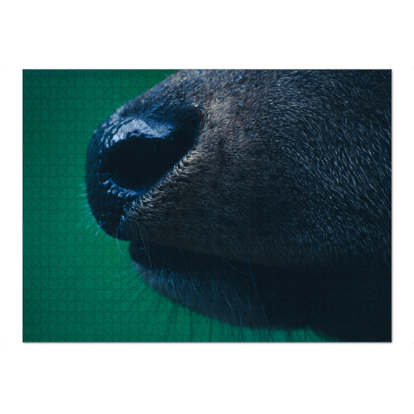 Puzzle Ravensburger "Rothirschnase" artboxONE - Natur,Tiere