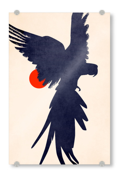 Acrylglasbild "Papagei In der Sonne" artboxONE - Tiere,Abstrakt - Papagei,Sonnenuntergang,Abstrakt,Sunset,Tier,Animal,Abstract