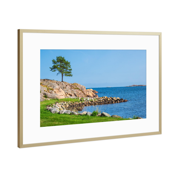 Poster mit Rahmen Gold "Naturreservat Bøkeskogen" artboxONE - Natur,Reise,Reise / Strand und Meer,Reise / Länder