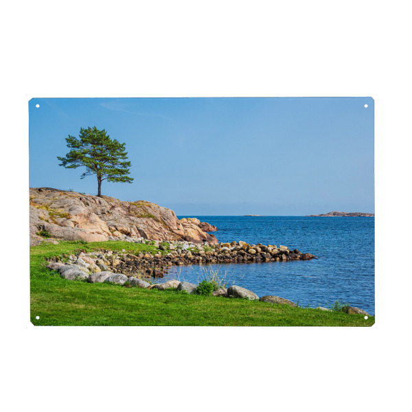 Metall Poster "Naturreservat Bøkeskogen" artboxONE - Natur,Reise,Reise / Strand und Meer,Reise / Länder