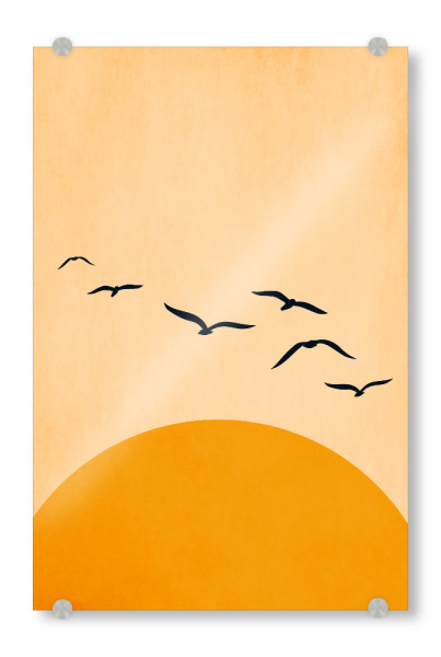 Acrylglasbild "One Day We Will Fly" artboxONE - Tiere,Abstrakt - Sonne,Vögel,Birds,Sun,Abstract,Abstrakt,Natur,Nature,Tiere,Animals