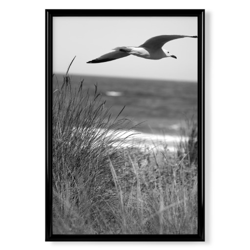Meer mit Möwe