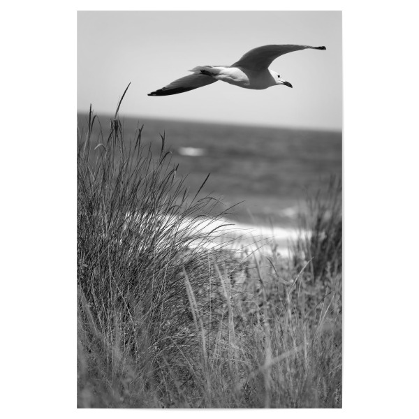 Poster 30x20 cm "Meer mit Möwe" artboxONE - Reise,Tiere,Reise / Strand und Meer
