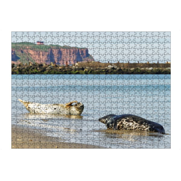 Puzzle Ravensburger "Kegelrobben am Strand" artboxONE - Natur,Tiere,Reise / Strand und Meer
